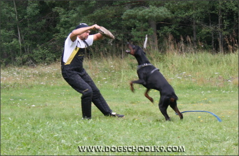 Summer training camp in Finland 2007